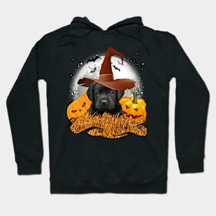 Halloween Labrador retriever Hoodie